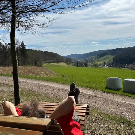 Architektenhaus Hello In Erbach Mit High End Interieur Zentral Aber Ruhig *