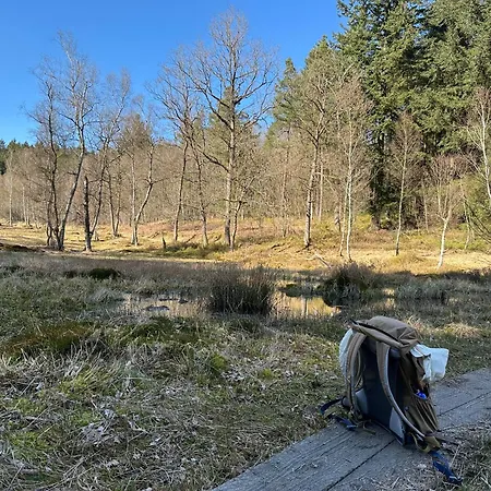 Architektenhaus Hello In Erbach Mit High End Interieur Zentral Aber Ruhig *