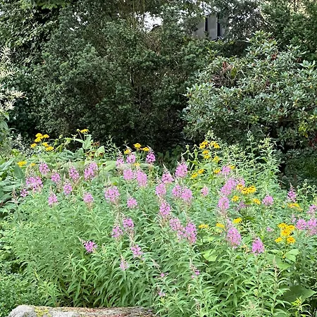 Architektenhaus Hello In Erbach Mit High End Interieur Zentral Aber Ruhig Holiday home