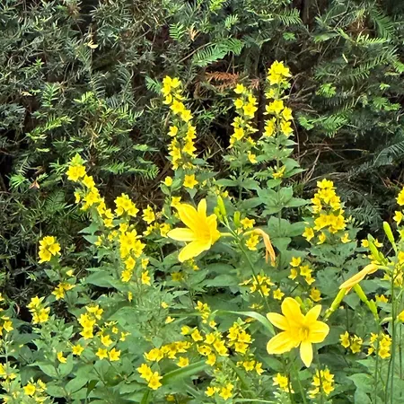 Architektenhaus Hello In Erbach Mit High End Interieur Zentral Aber Ruhig * Erbach (Odenwaldkreis)