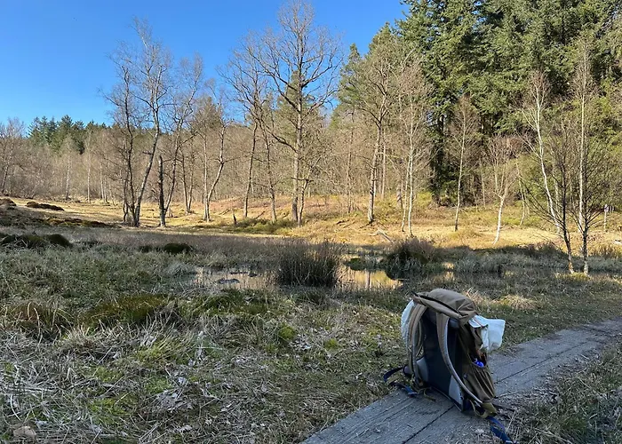 Architektenhaus Hello In Erbach Mit High End Interieur Zentral Aber Ruhig *