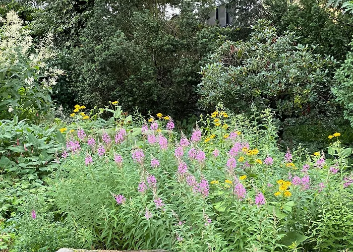 Architektenhaus Hello In Erbach Mit High End Interieur Zentral Aber Ruhig Дом отдыха